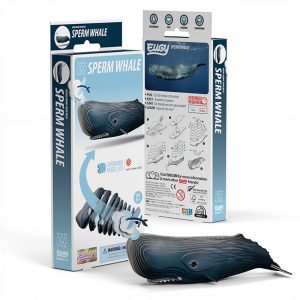 Sperm Whale Eugy model