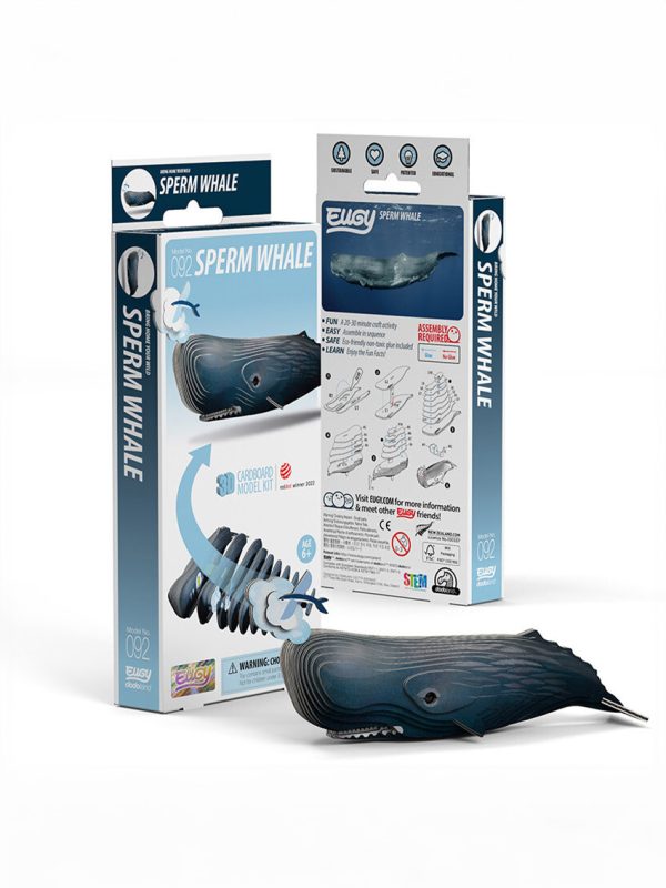 Sperm Whale Eugy model