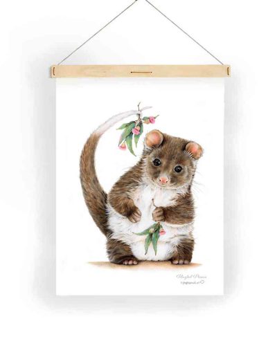 Possum tea towel hanging