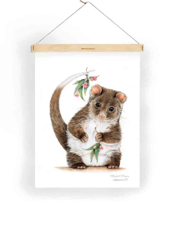 Possum tea towel hanging