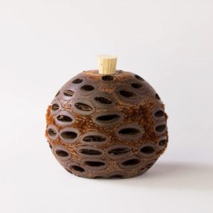 Mini aroma pod