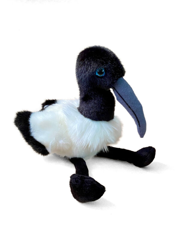Lil friends Ibis or Bin Chicken