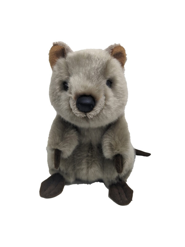 Lil friends Quokka
